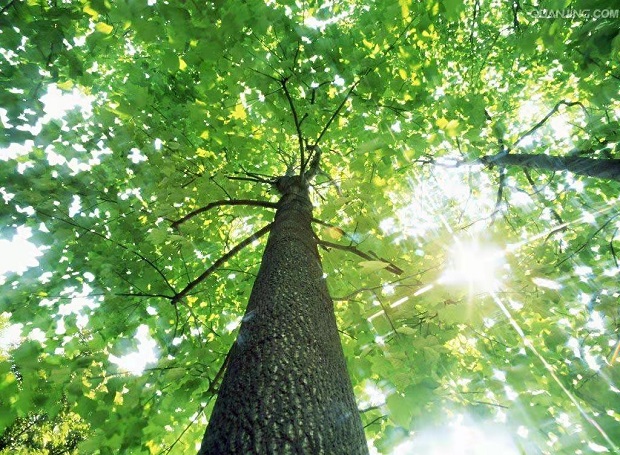 微信圖片_20220407162456.jpg 微信圖片_20220407162456.jpg